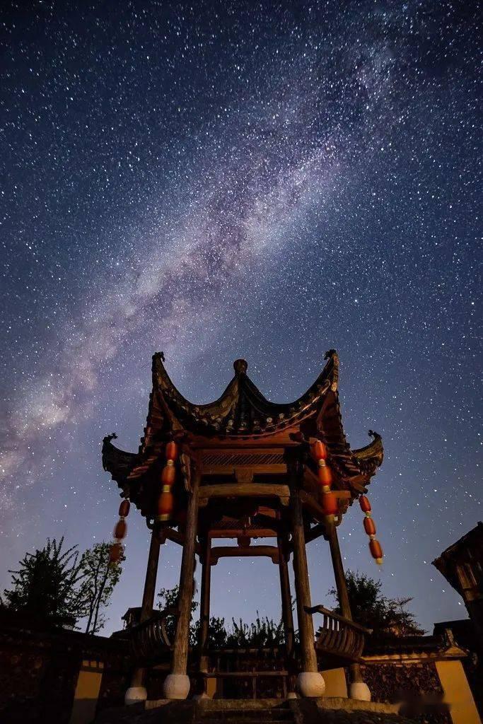 遗失之森
